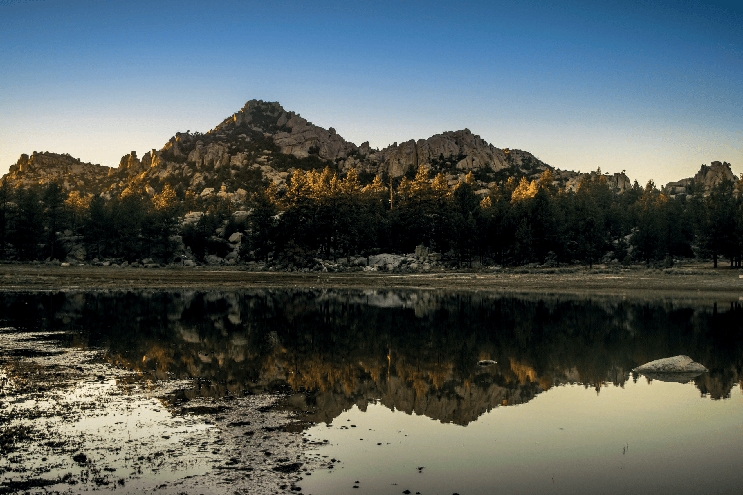 Real del Castillo paisaje